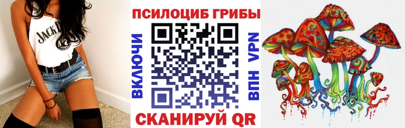 где купить наркотик Коммунар Галлюциногенные грибы GOLDEN TEACHER